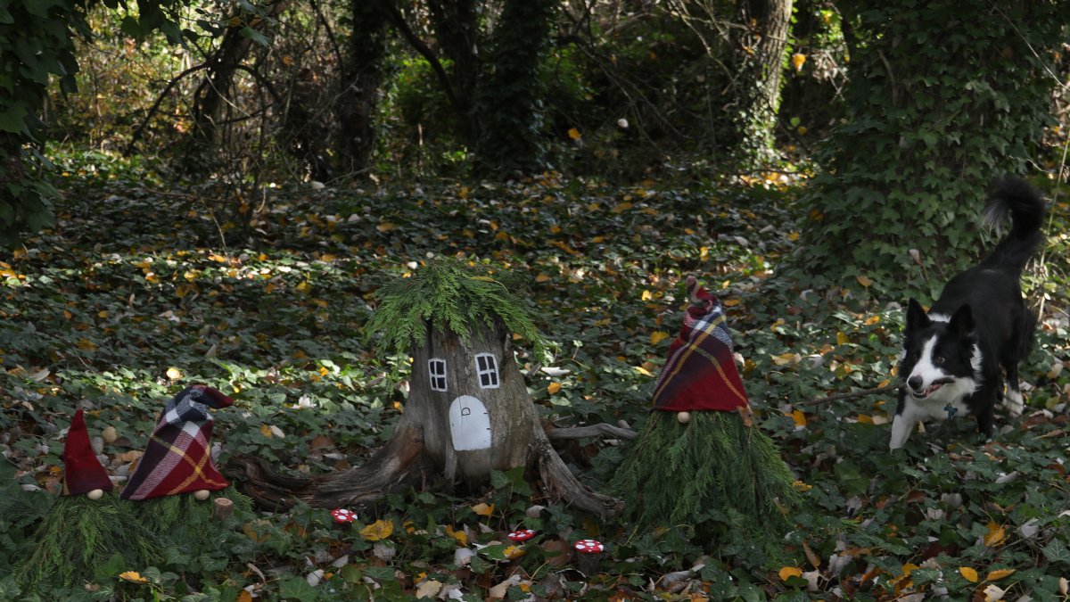El bosque encantado de Valoria del Alcor (Palencia)