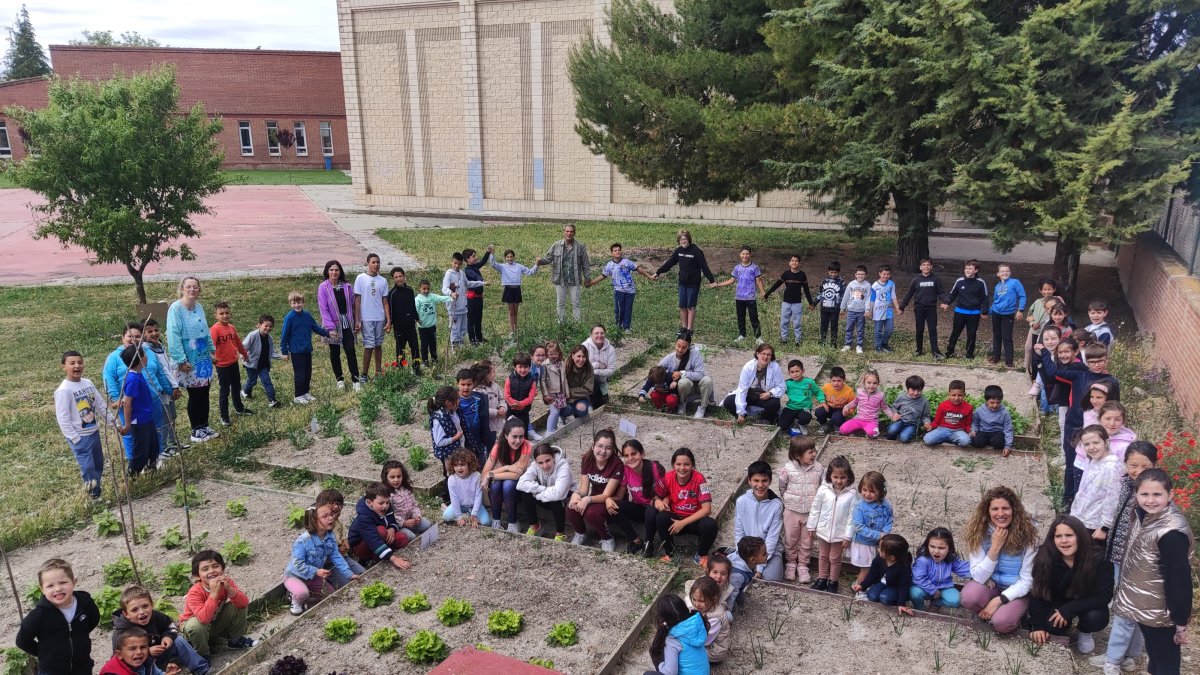 El CEIP San José de Baltanás participa en el programa de 'Escuelas para la sostenibilidad' con reciclaje, huertos, y otras actividades.
