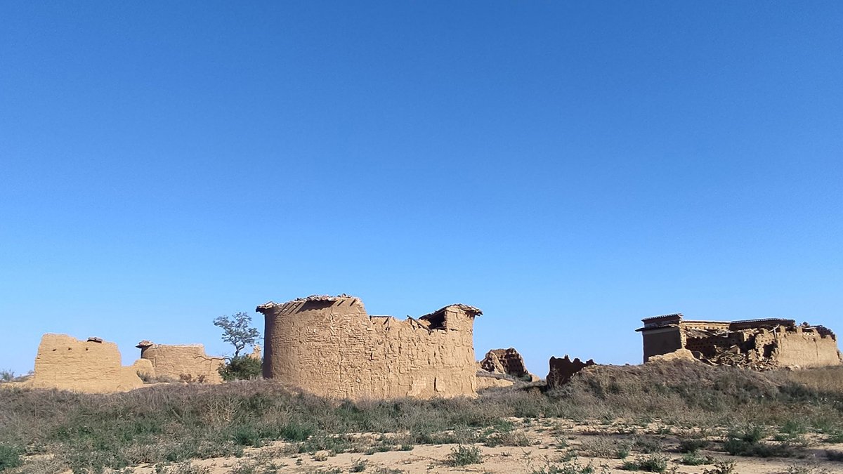 Palomares de Guaza de Campos (Palencia), incluidos en la Lista Roja en marzo de este año.