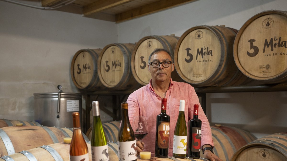Benjamín García posa con sus vinos en la sala de barricas de Bodegas La Mela.
