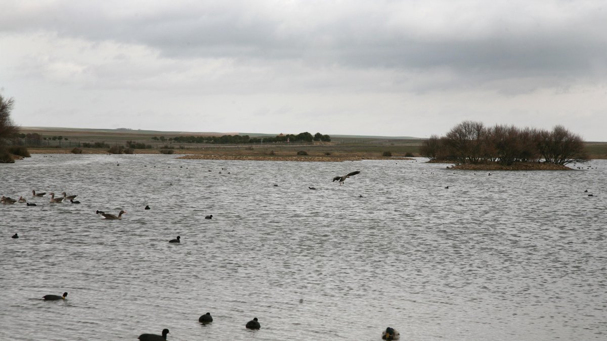 Laguna de Villalfáfila en una imagen de archivo