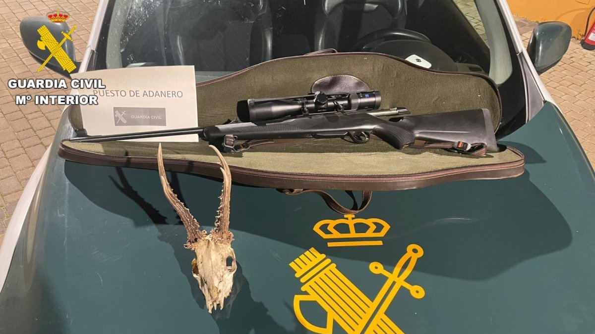 Arma ilegal y trofeo del corzo sin precinto
