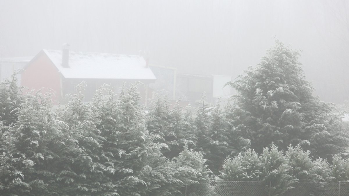 Niebla y frío en una imagen de archivo