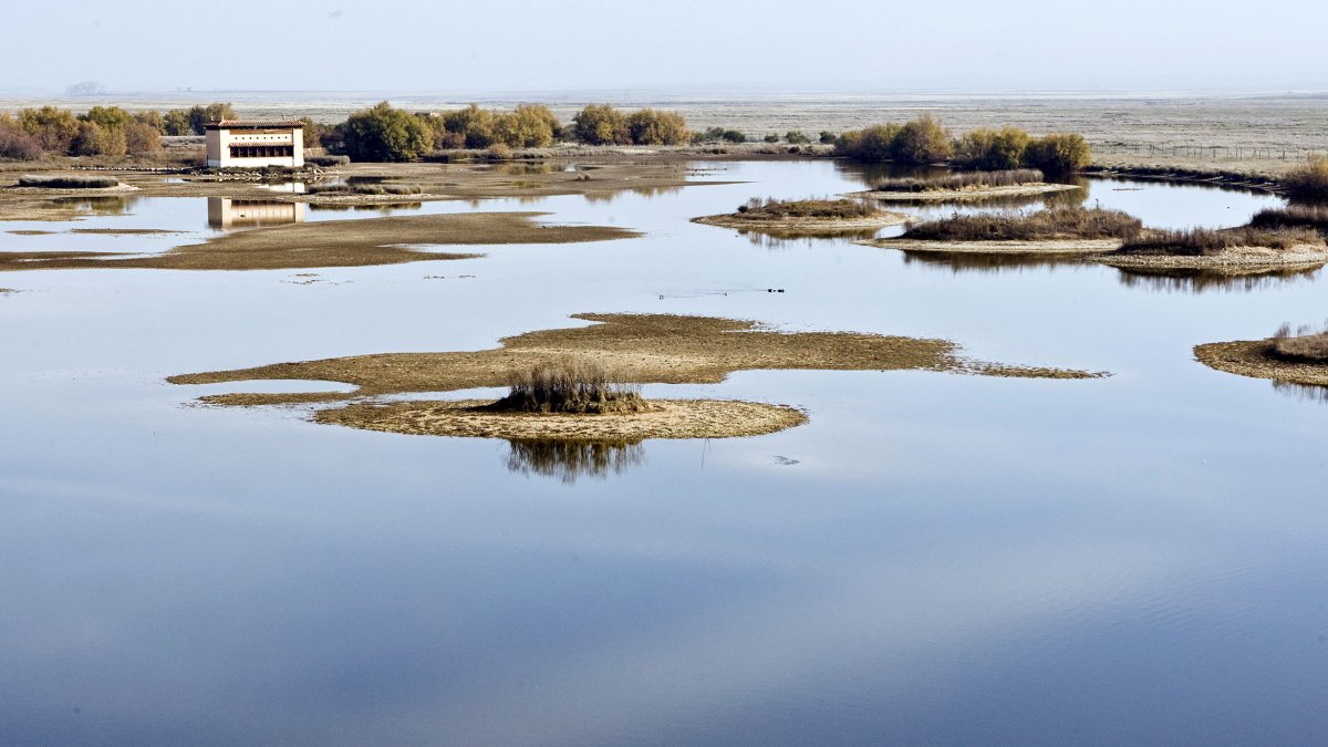 Imagen de archivo de las lagunas de Villafáfila, de donde se pretende extraer agua para la planta de hidrógeno verde.