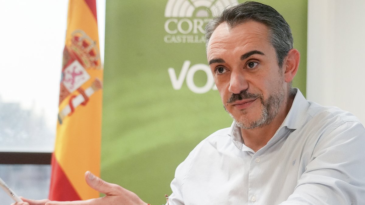 El portavoz de VOX en las Cortes, David Hierro.