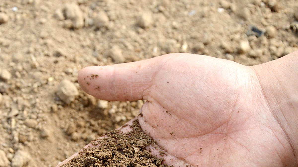 Un agricultor examina el estado de la tierra en uno de sus cultivos en tiempo de sementera