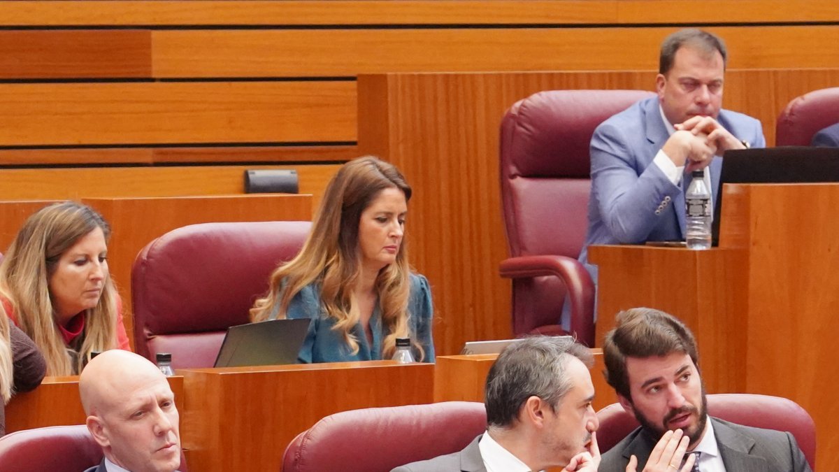 Parte de la bancada de VOX durante un pleno de las Cortes, en una imagen de archivo.