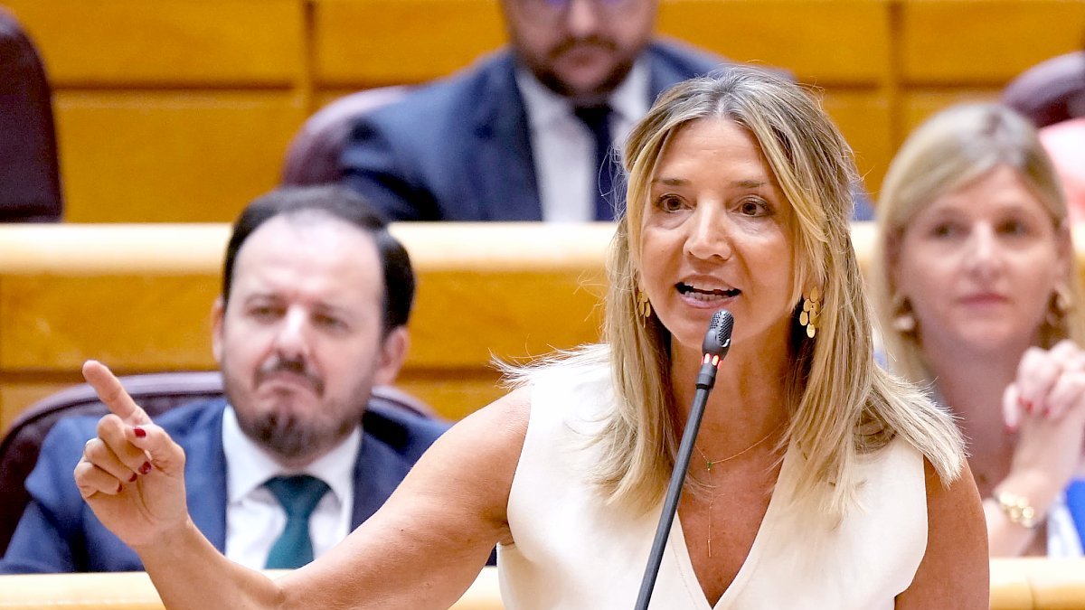 Alicia García interviene en el Senado, en una foto de archivo. E. M.