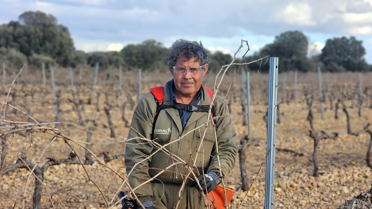 Honorio posa en una de sus viñas