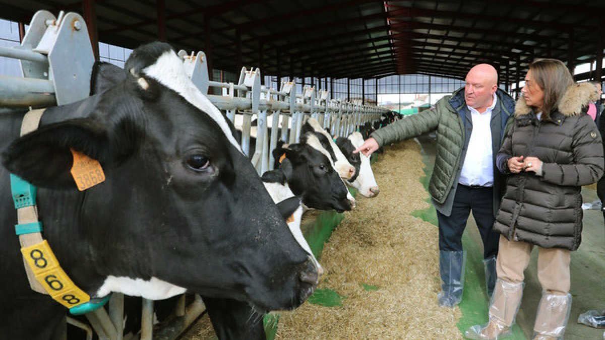 La Consejera de Agricultura, Ganadería y Desarrollo Rural junto a Roberto Fernández, uno de los dueños de la explotación.