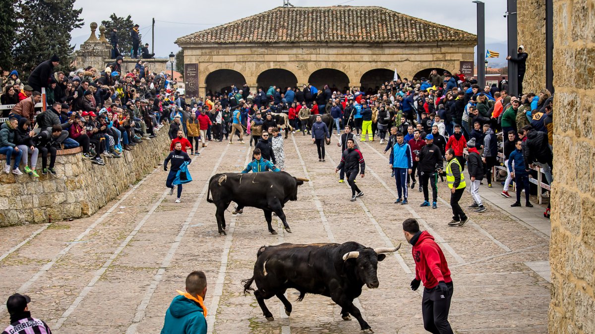 Imagen de archivo del Toro del Antruejo celebrado el sábado en Ciudad Rodrigo.
