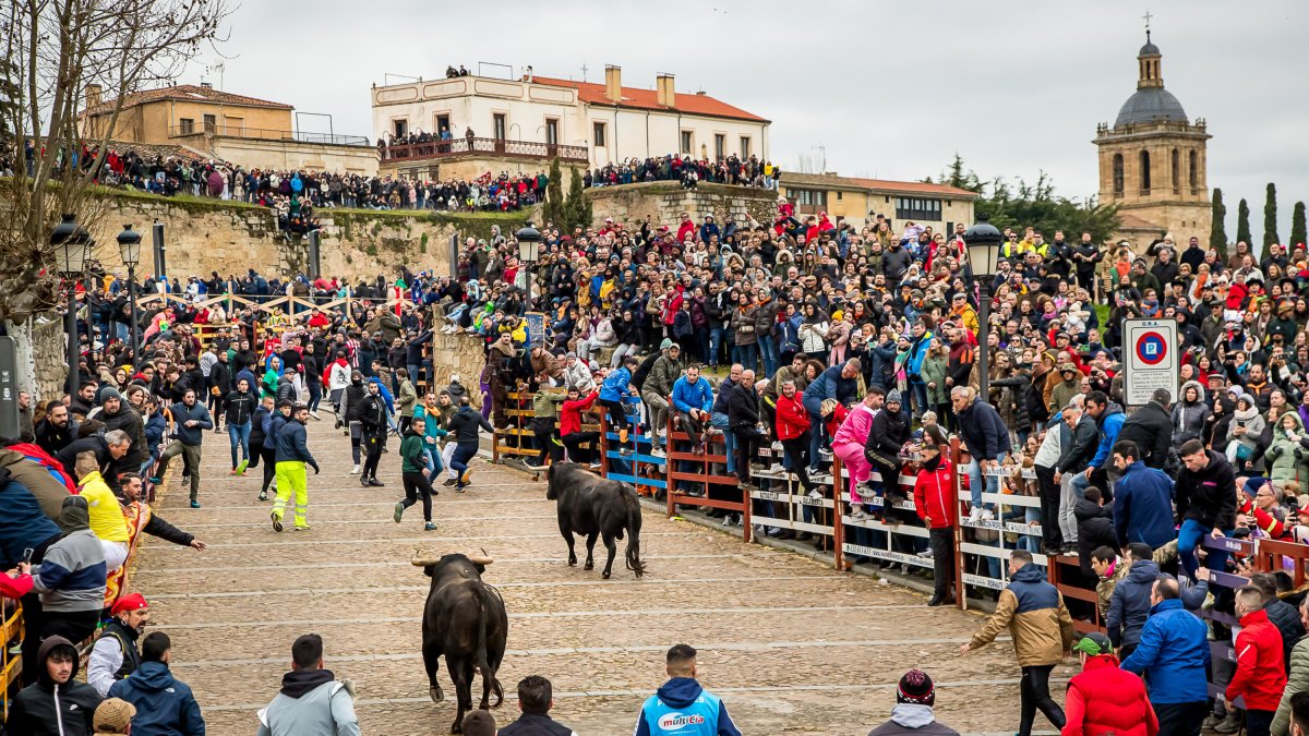 Toro del Antruejo, en Ciudad Rodrigo.