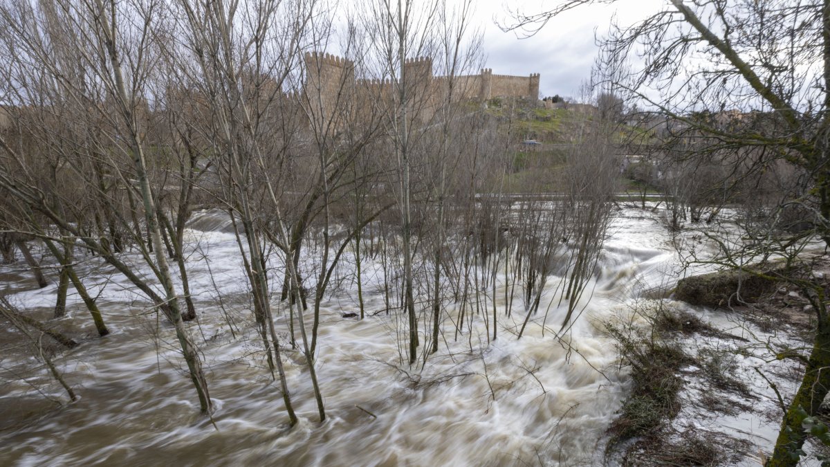 Río Adaja a su paso por Ávila.