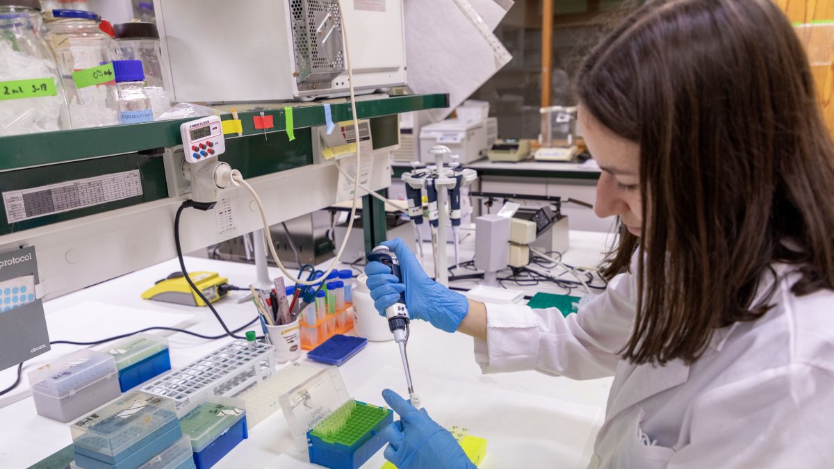 El Centro de Investigación del Cáncer de Salamanca cumple 25 años