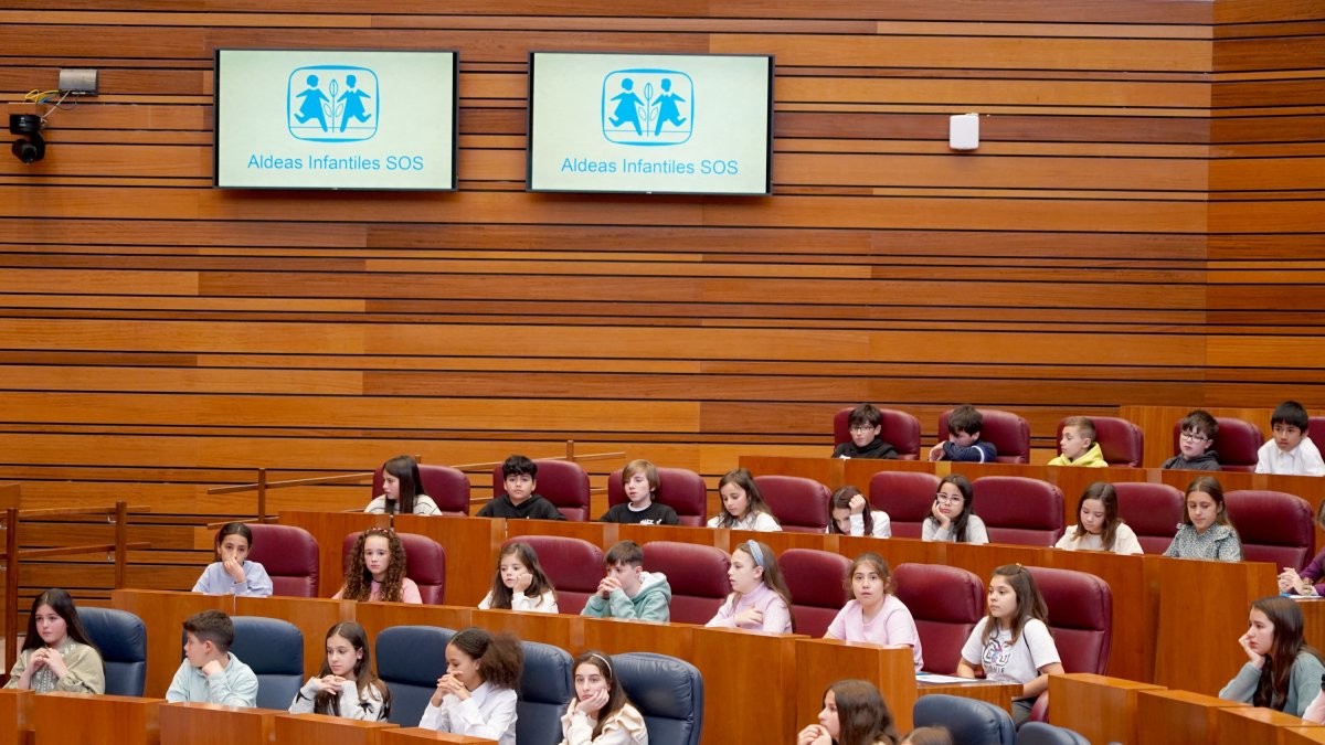 Un centenar de escolares de nueve centros de Castilla y León participa en el pleno infantil de las Cortes organizado por Aldeas Infantiles SOS.