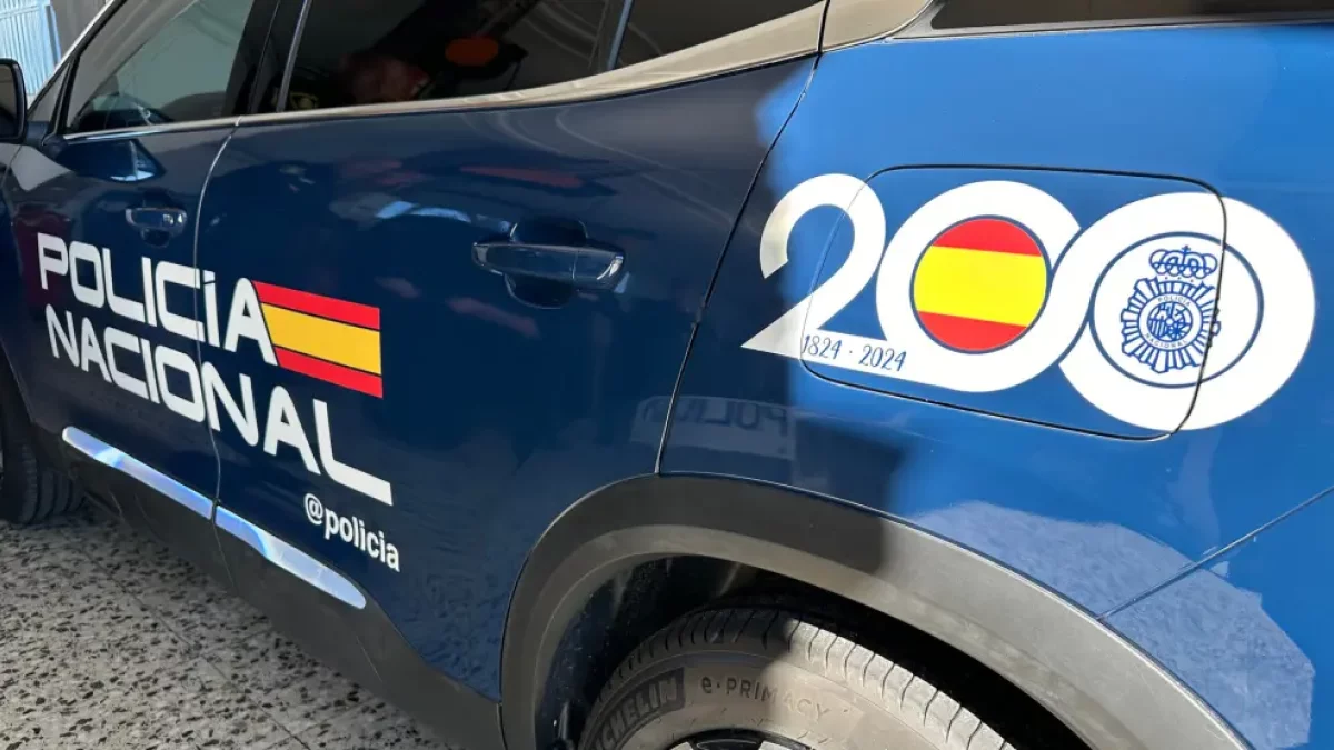 Coche de la Policía Nacional, en una imagen de archivo.