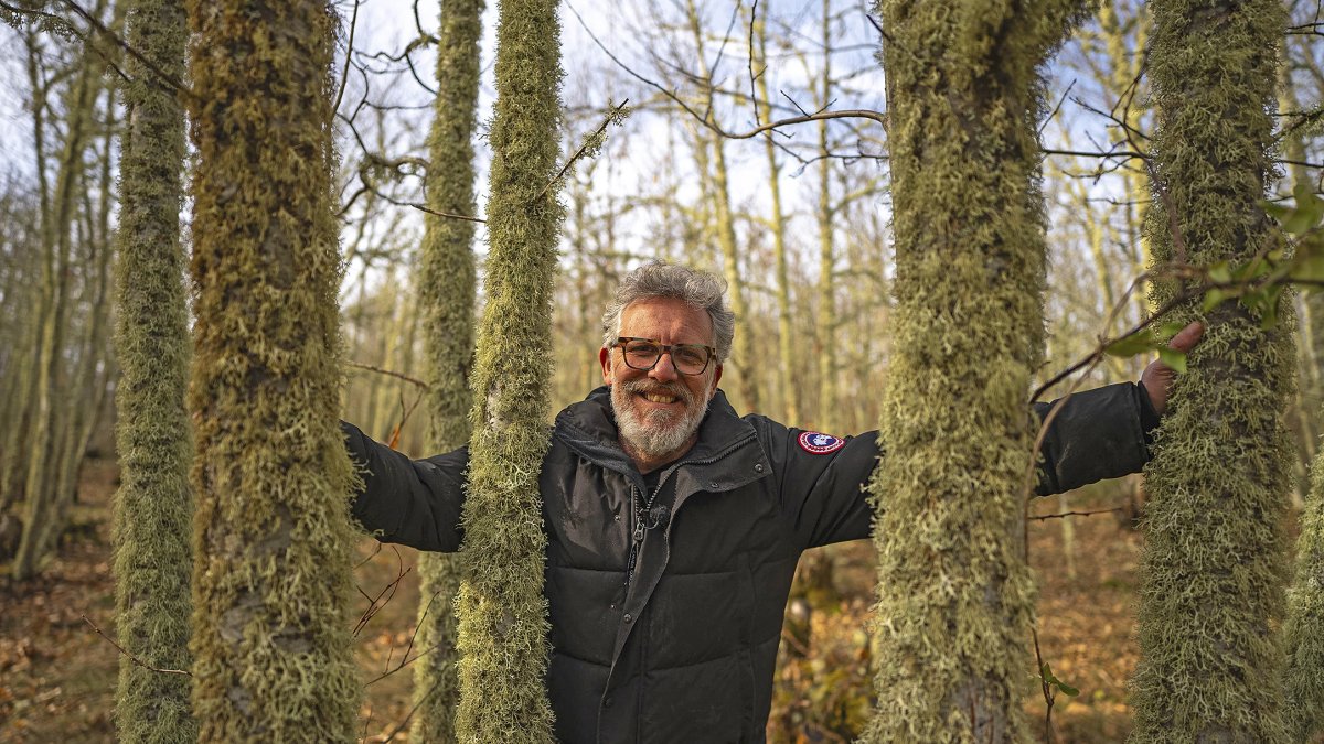 Nicolás de la Carrera, inmerso en el bosque de castaños de Villar de los Barrios.