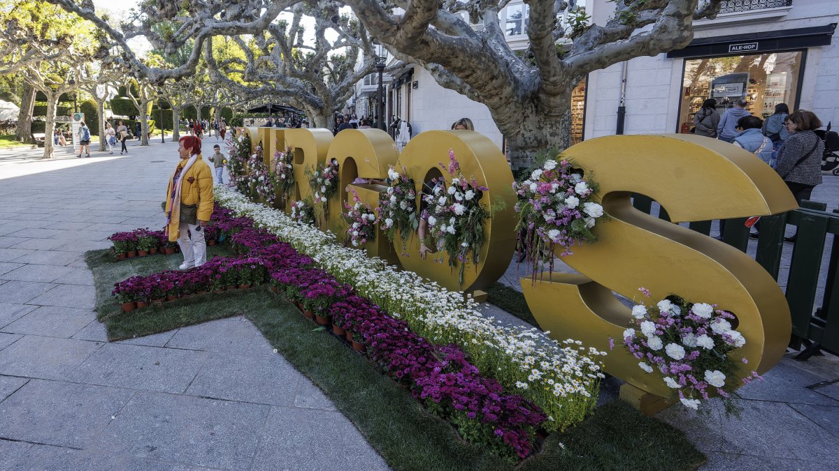 XI edición de la Fiesta de las Flores