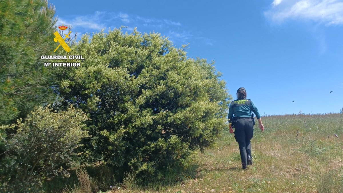 Dispositivo de búsqueda de la Guardia Ciivl en Villar de Mazarife