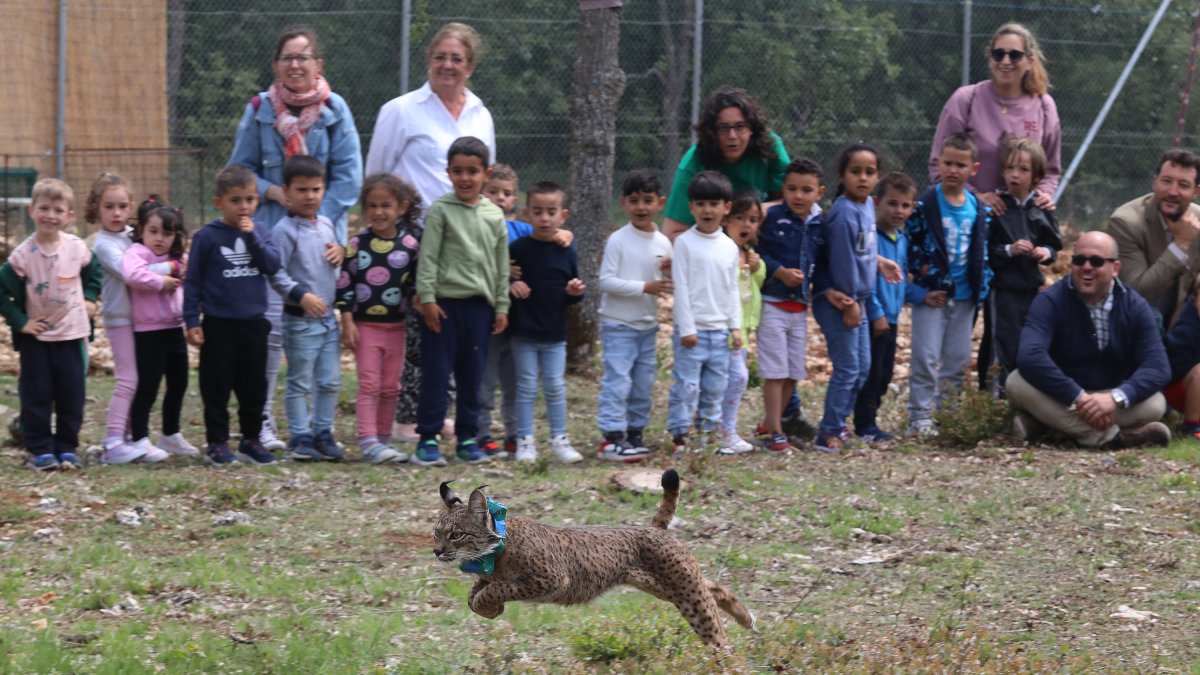 Alumnos de Torquemada observan a Venadillo