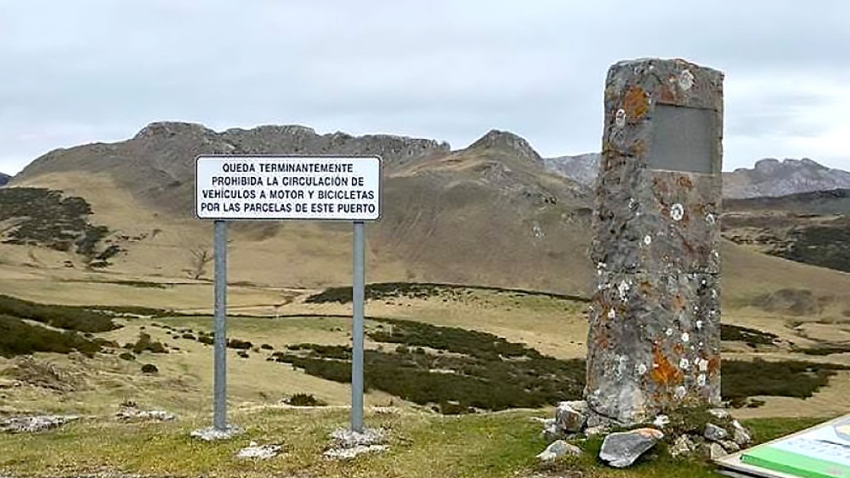 Vacas asturianas 'okupas' en León