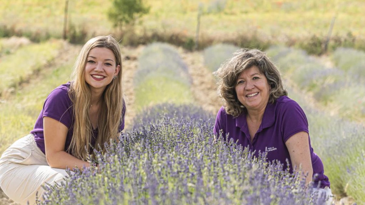 Luz Ruiz y su hija Sofía en uno de sus cultivos de lavanda, con las flores aún en formación