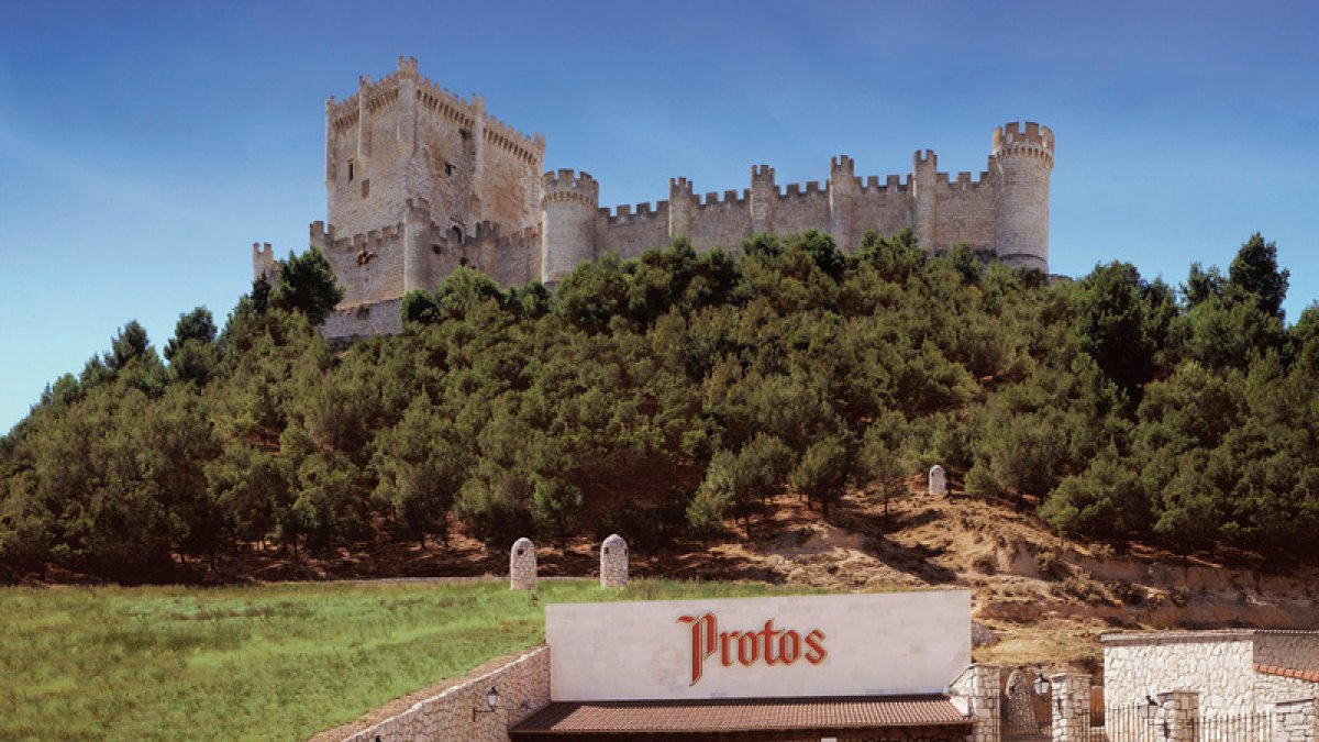 La Bodegas Protos que participa en el proyecto.