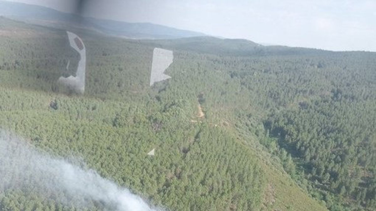 Incendio declarado en Portugal en una zona próxima a Zamora.