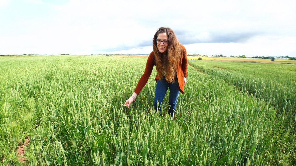 Carolina Ramos, coordinadora del campo demostrativo de UPA Burgos