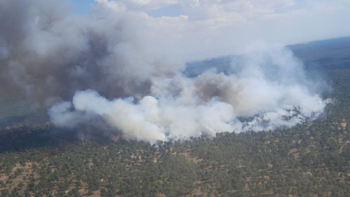 Incendio forestal en Cuéllar.