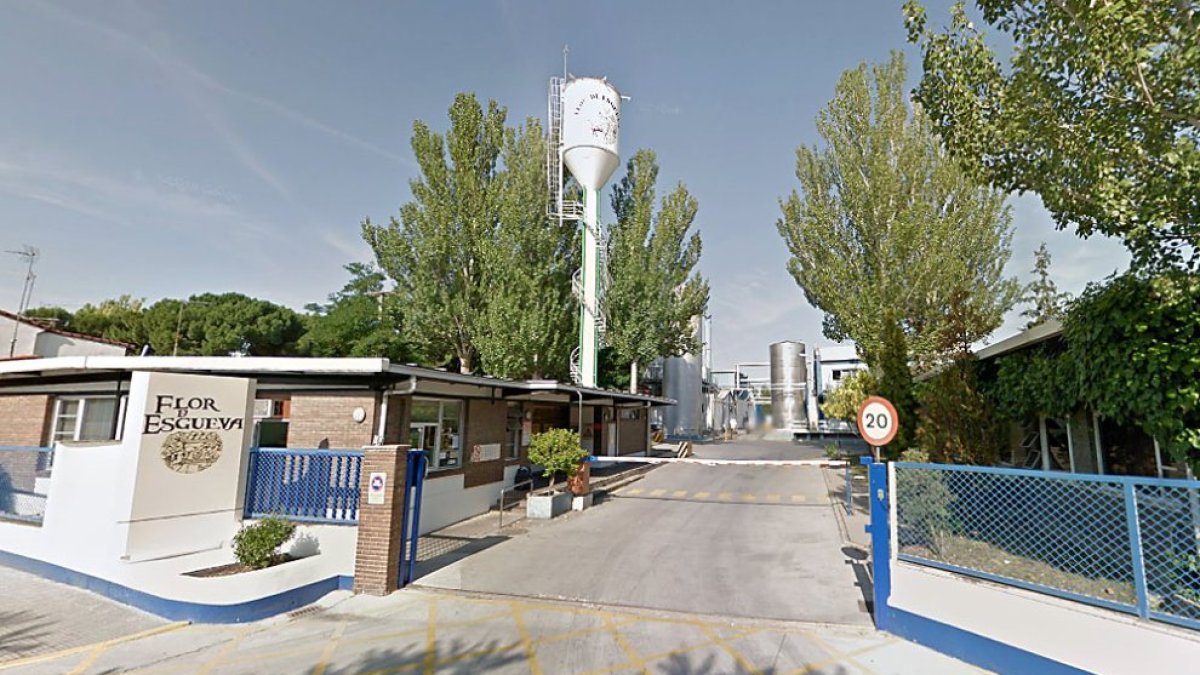 Factoría de Flor de Esgueva en Peñafiel.