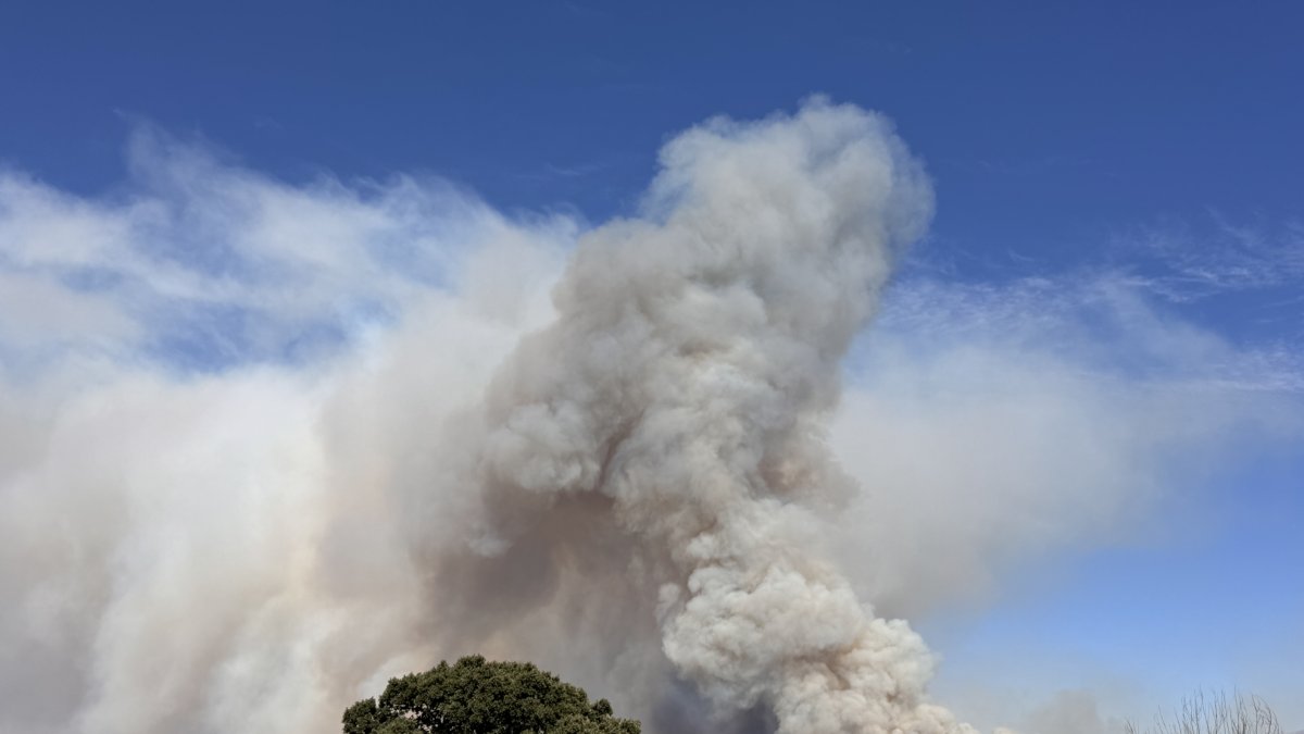 Incendio de Navaluenga en la provincia de Ávila