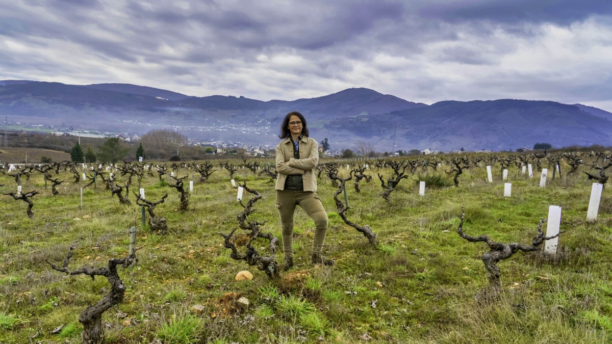 Consuelo Ysart, presidenta de 'Bierzo Enoturismo'