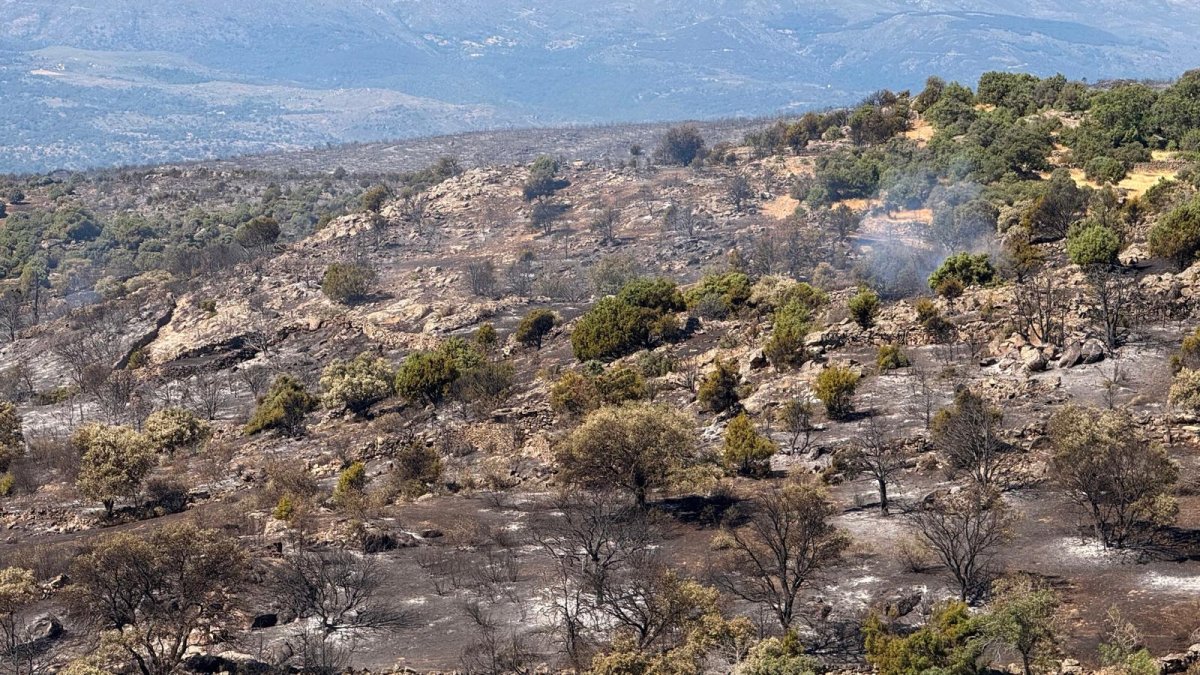Incendio forestal en Navaluenga