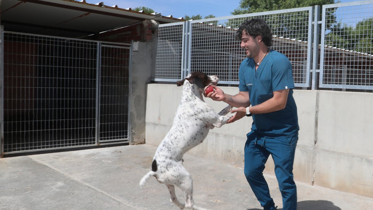 Protectora  de animales en Palencia