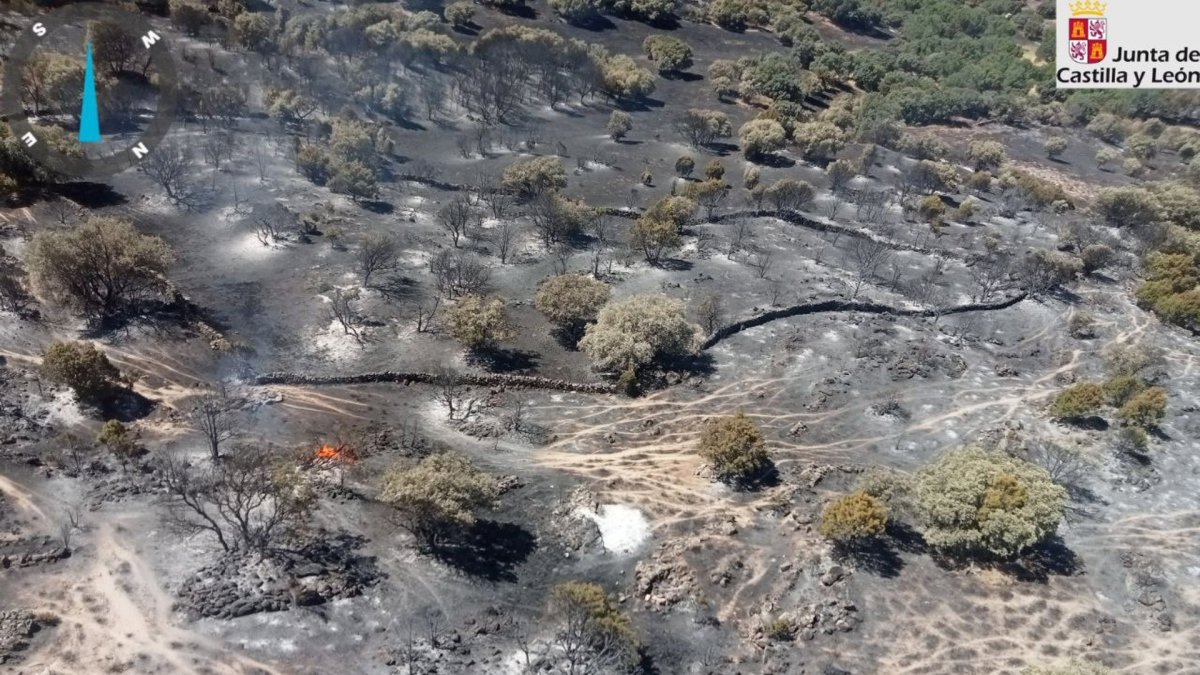 Incendio de Navaluenga esta mañana