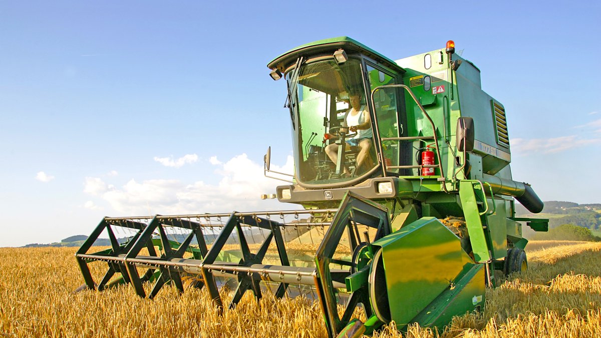 Una cosechadora recoge grano en un campo de cereal