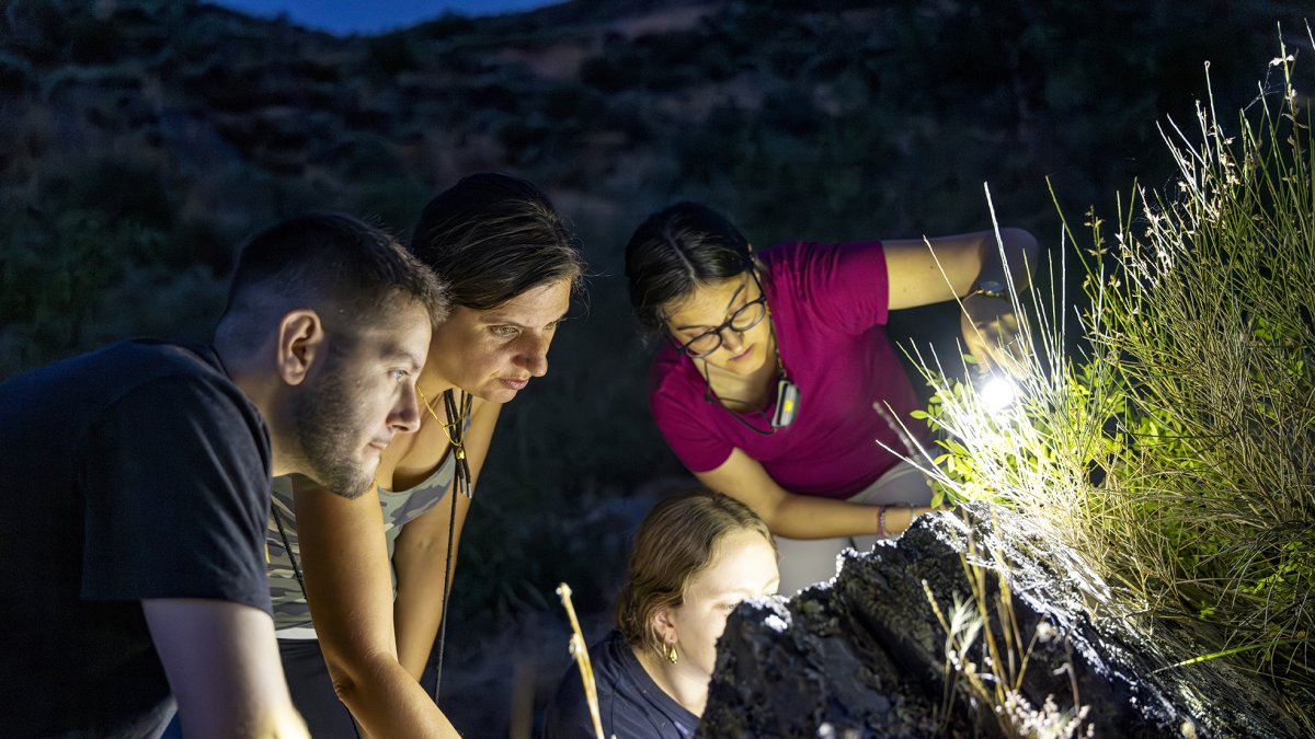 El equipo de arqueólogos trabajando en el yacimiento arqueológico situado en la frontera hispanolusa de Salamanca, Siega Verde.