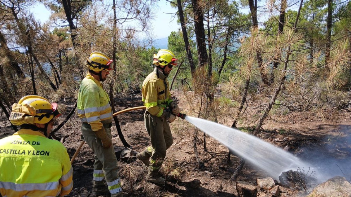 Efectivos trabajan en el incendio de Molezuelas de la Carballeda en Zamora.
