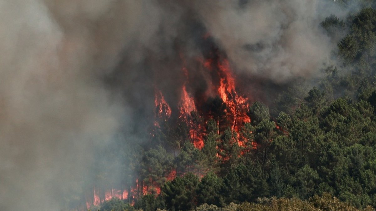 Incendio de El Payo en Salamanca.