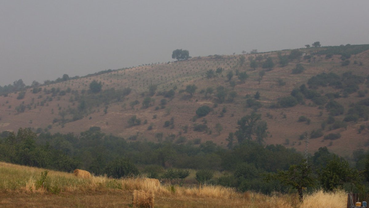 Intenso humo en El Bierzo debido a los diferentes incendios activos en la zona.