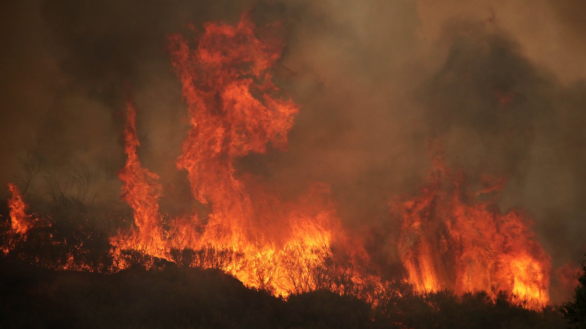 Incendio forestal en la localidad de Fasgar (León)