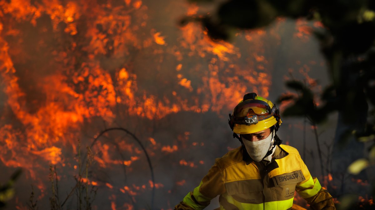Incendio forestal en El Payo (Salamanca) en nivel 2