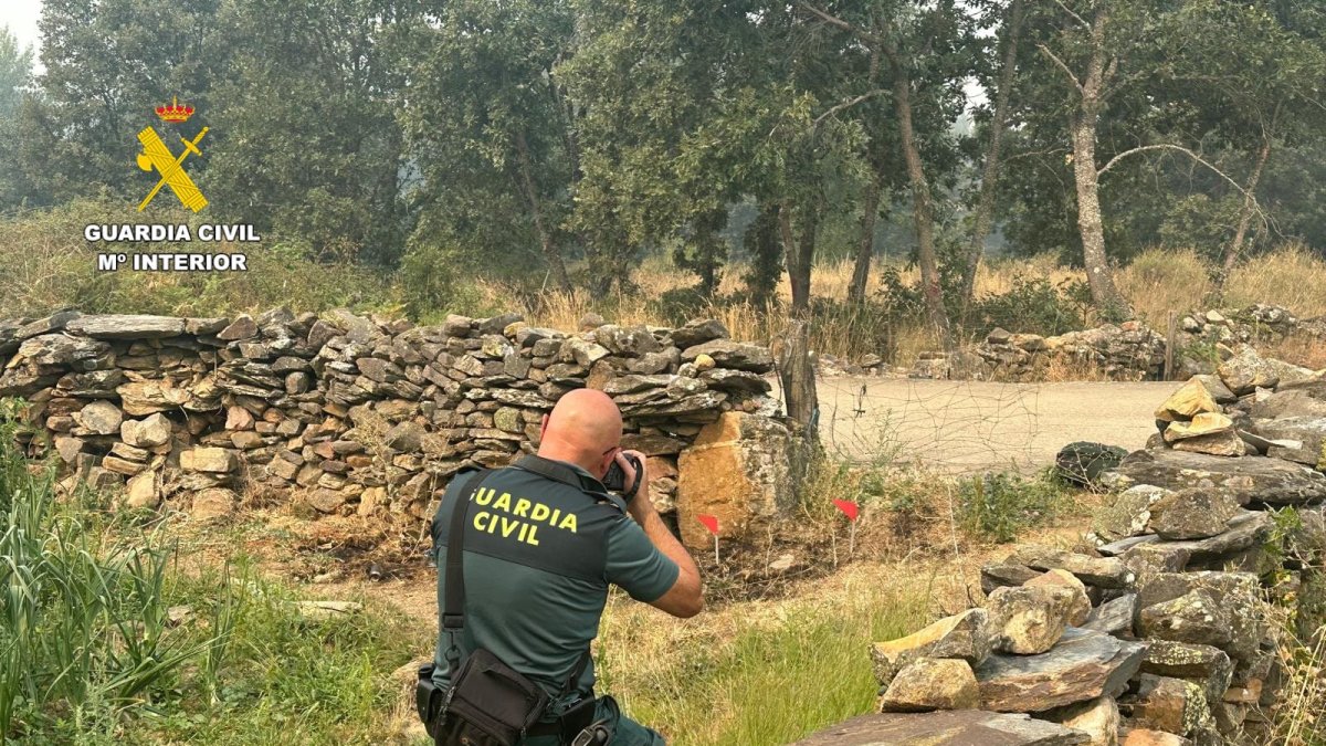 Investigan a un vecino de La Carballeda en Zamora por cinco conatos de incendio por un tractor
