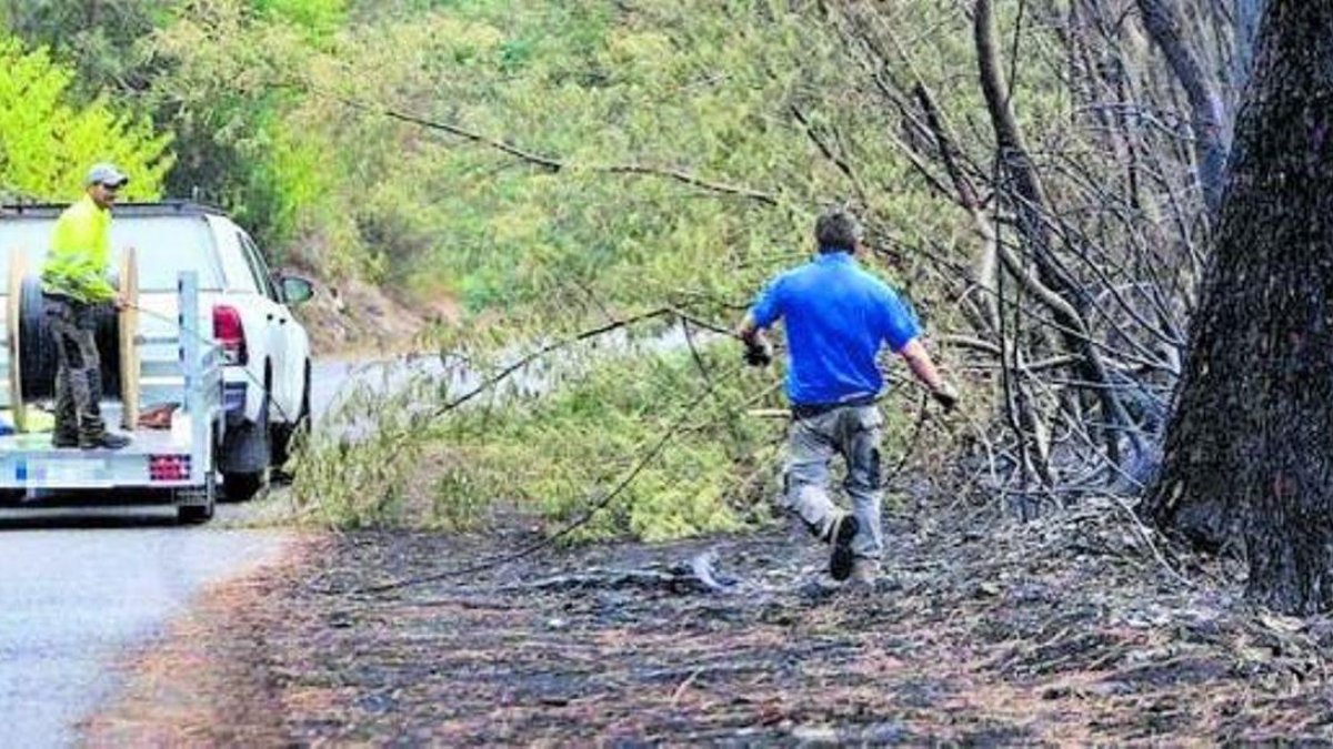 Telefónica refuerza la conectividad en las zonas afectadas por los incendios en Castilla y León