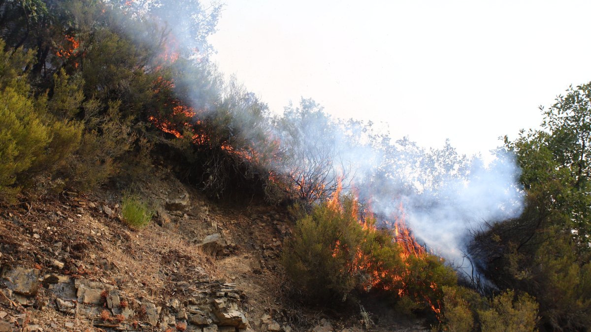 Incendio en Colinas del Campo de Martín Moro Toledano perteneciente al municipio de Igüeña (León)