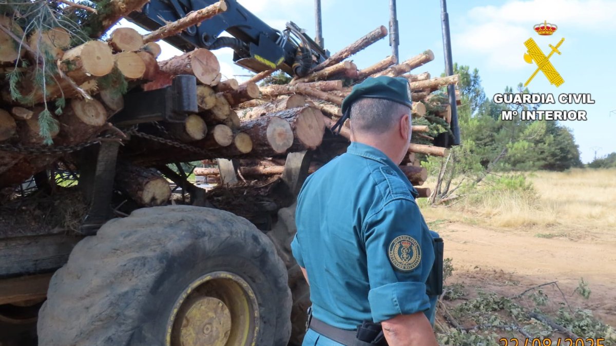 Un agente de la Guardia Civil durante labores de investigación.