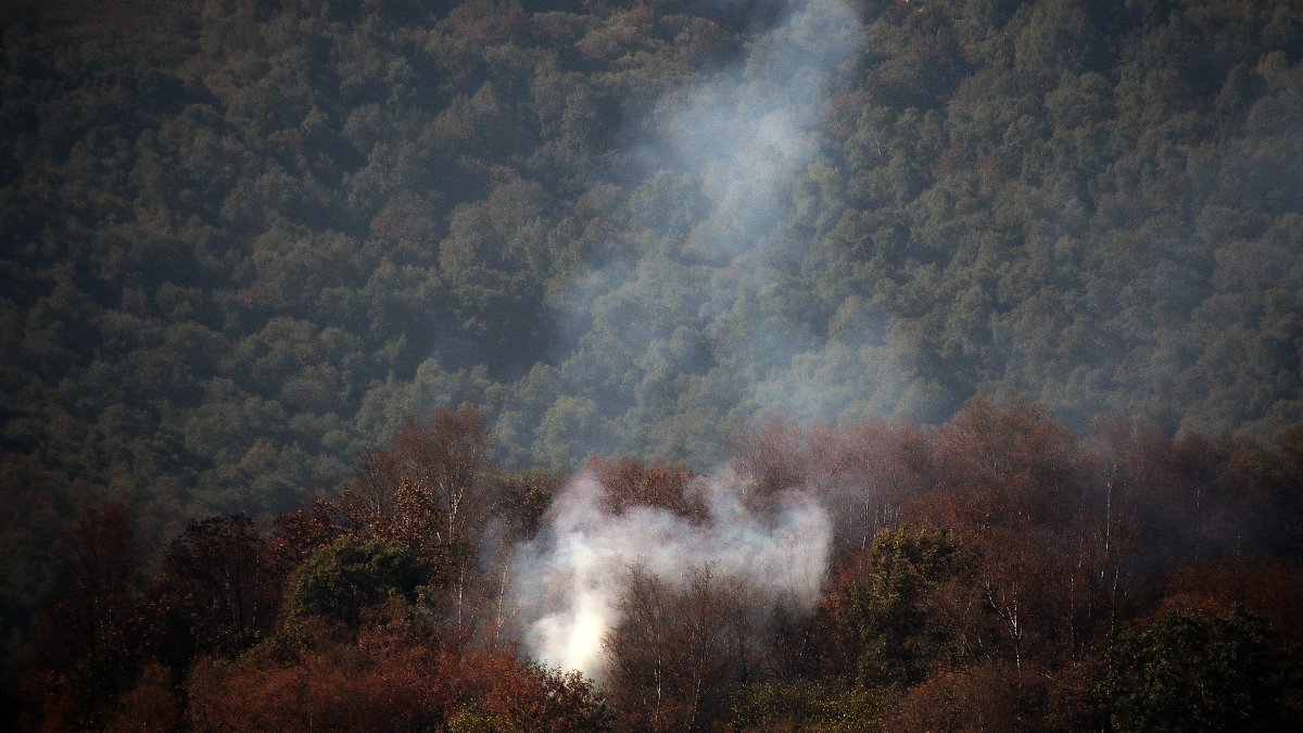 El incendio de Fasgar continúa por zonas forestales