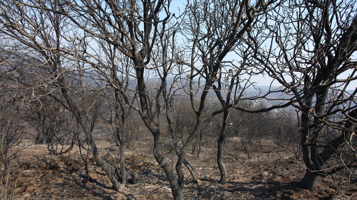 Efectos del incendio iniciado en la localidad de Yeres (León), y que afectó al paraje de Las Médulas