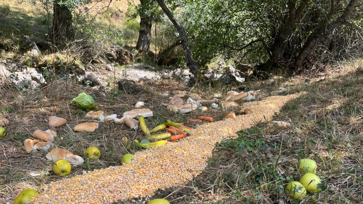 Alimento para los animales afectados por los fuegos de Castilla y León